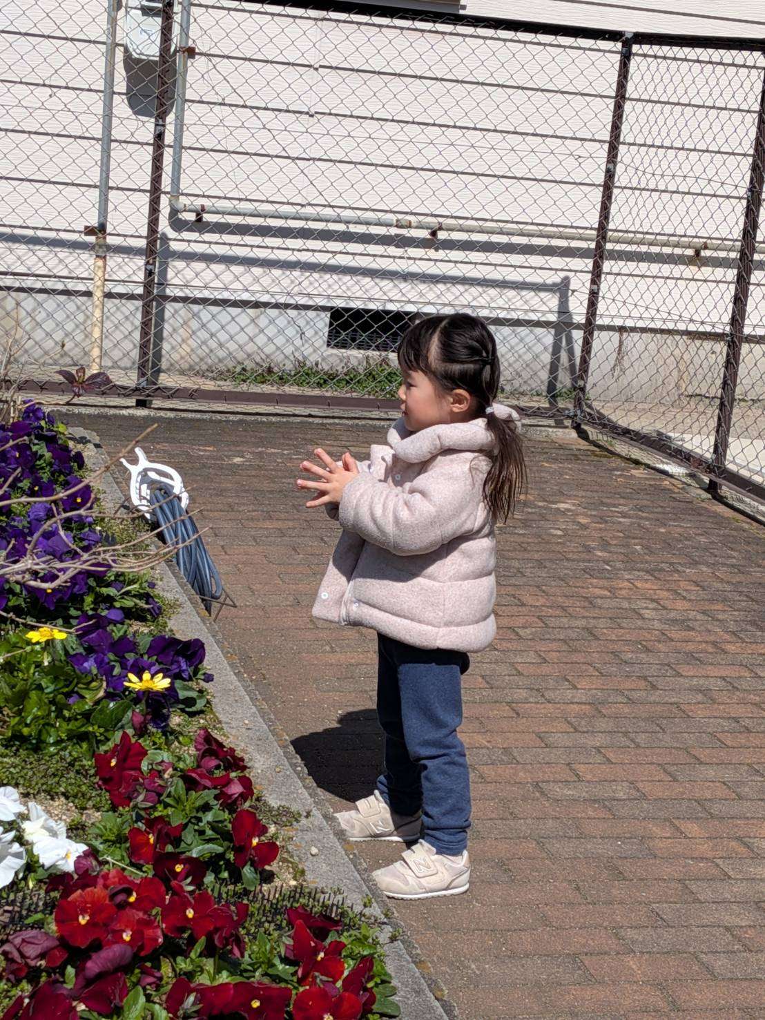 わんぱくさんの楽しい1日⭐